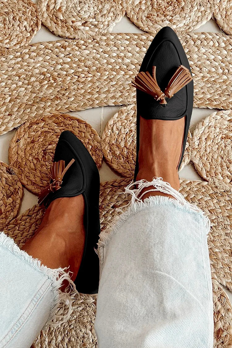 Pointed Toe Tassel Decor Loafers