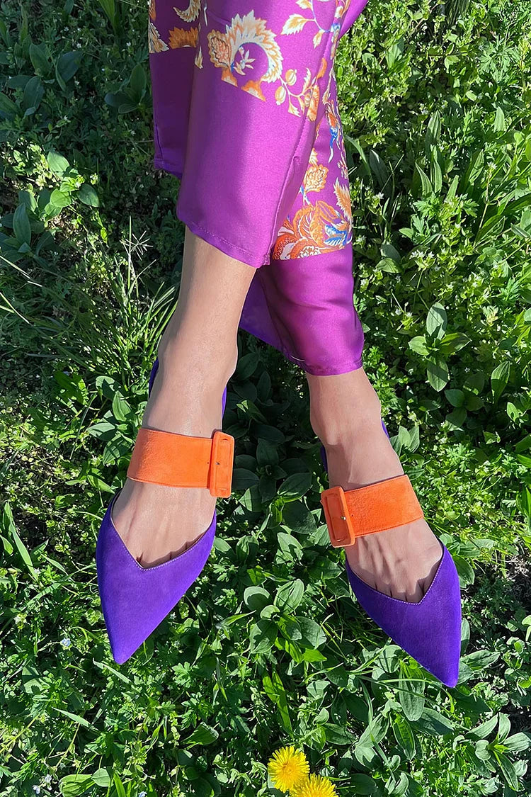 Pointy Toe Buckle Strap Slip-On Flats